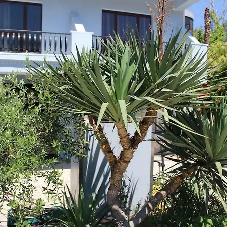 Hotel Green Garden