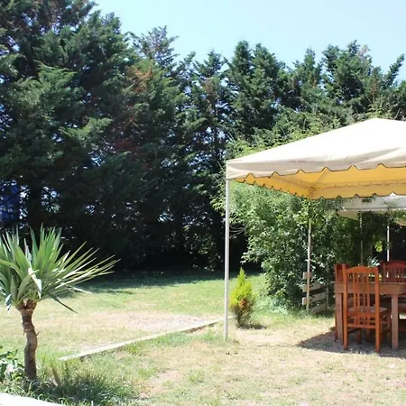 Green Garden