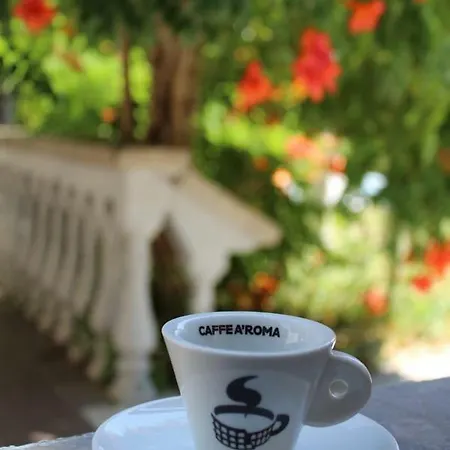 Hotel Green Garden Durres